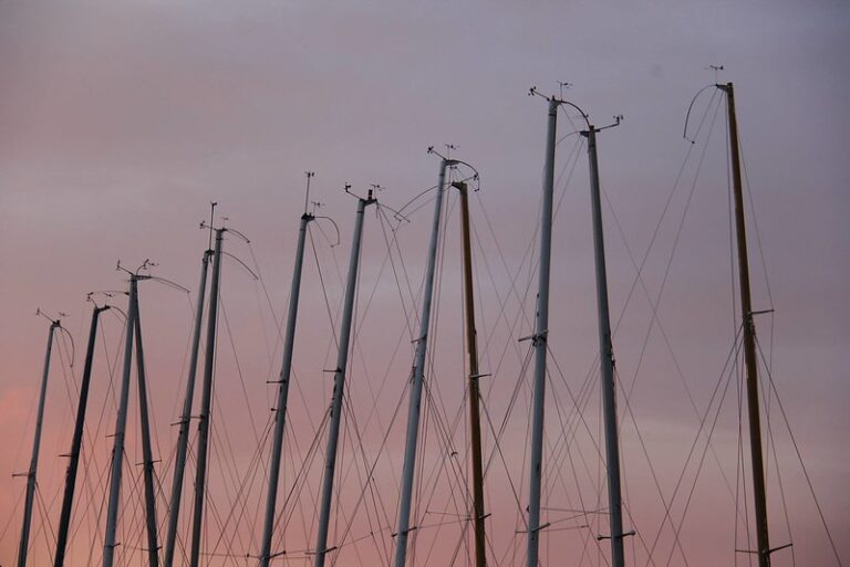 Delta i utvecklingen av vår förening – dela dina åsikter och anmäl ditt intresse!